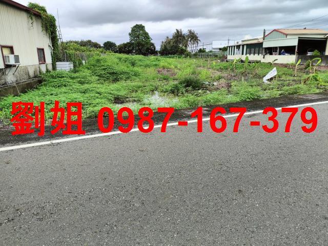 高雄阿蓮農地-2