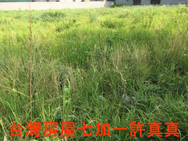 高雄仁武建地-0