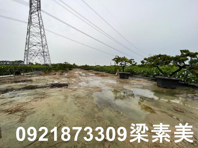 高雄農地-4