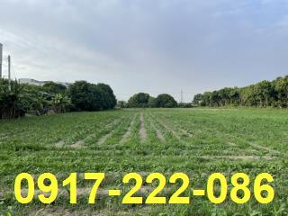 高雄路竹農地-0