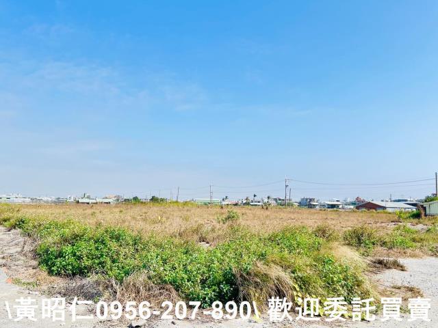 高雄湖內農地-2