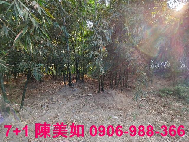 高雄大社建地-0