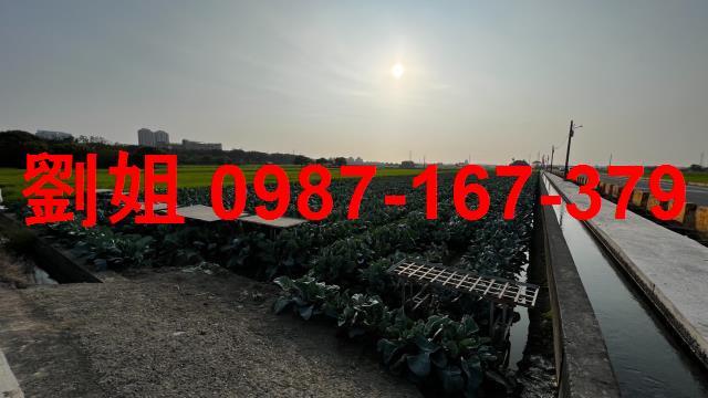 高雄橋頭農地-0