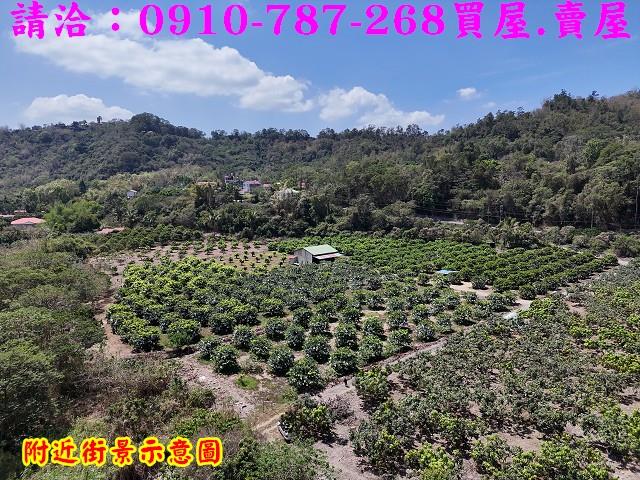 高雄六龜農地-13