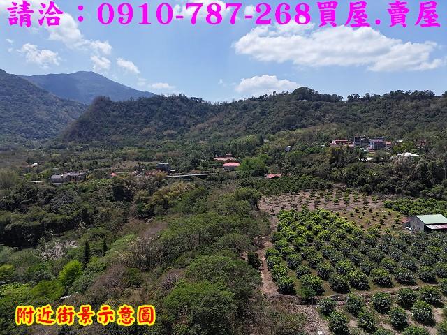 高雄六龜農地-14