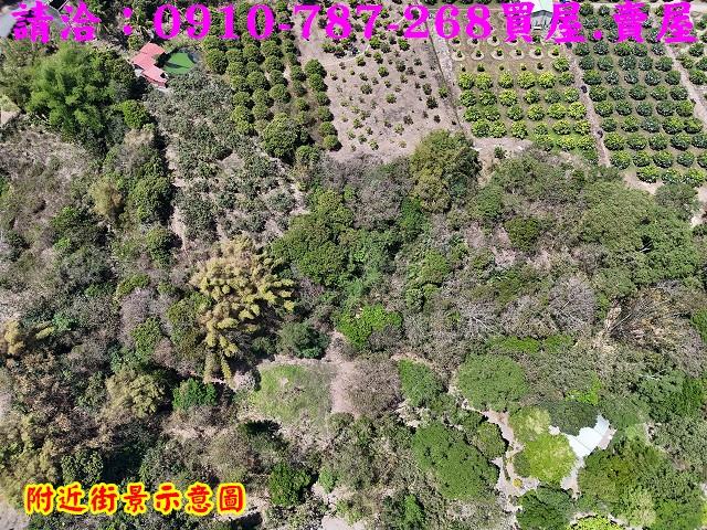 高雄六龜農地-4