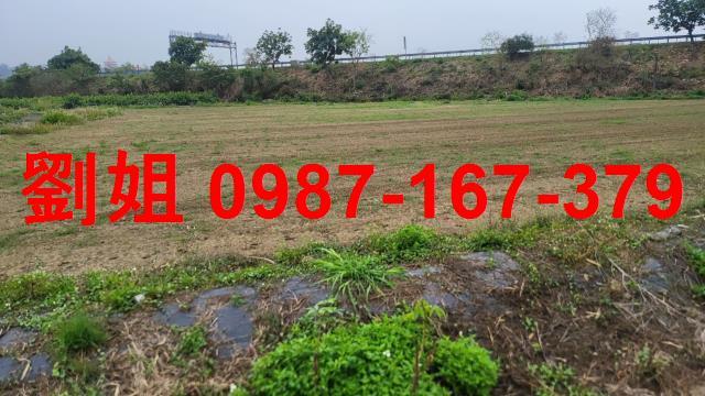 高雄燕巢農地-0