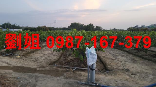 高雄燕巢農地-0