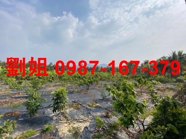 高雄旗山農地-0