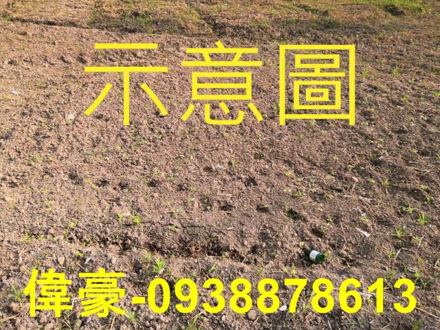 高雄岡山建地-0