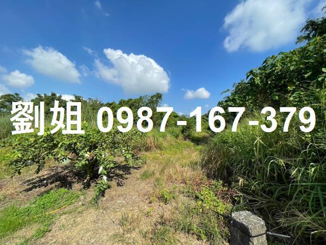 高雄仁武農地-0