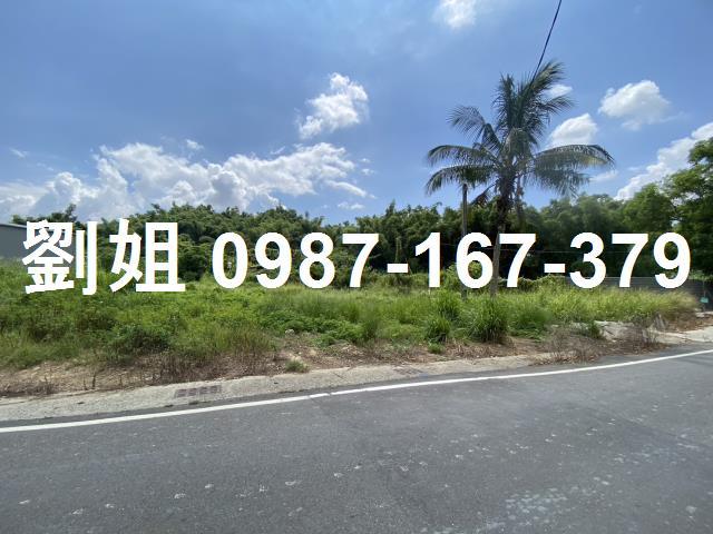 高雄仁武農地-0