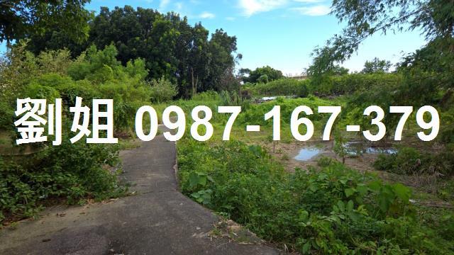 高雄燕巢農地-0