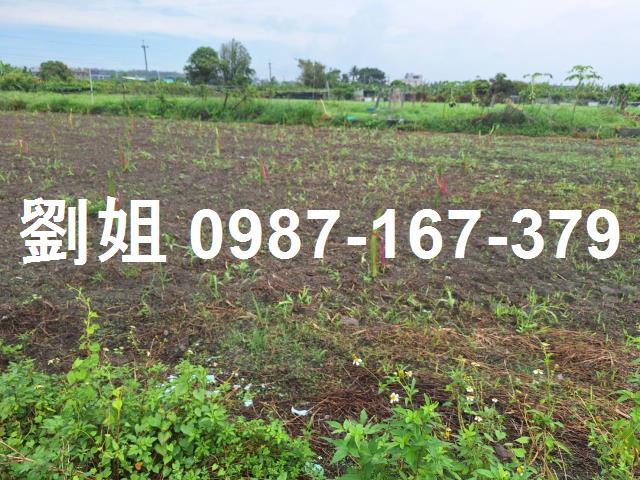 高雄林園農地-0