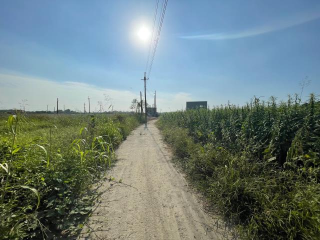 高雄阿蓮農地-11