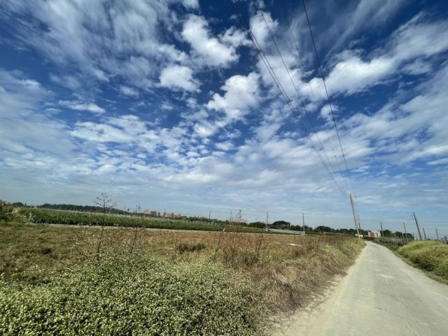 高雄阿蓮農地-3