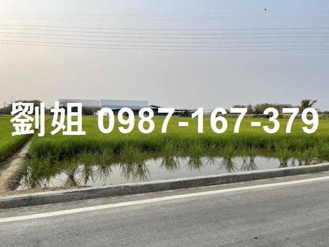 高雄橋頭農地-0