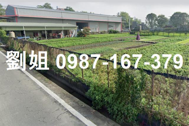 高雄大寮農地-0