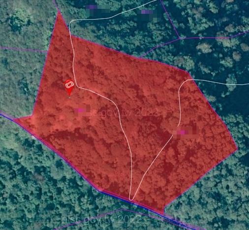 高雄桃源農地-0