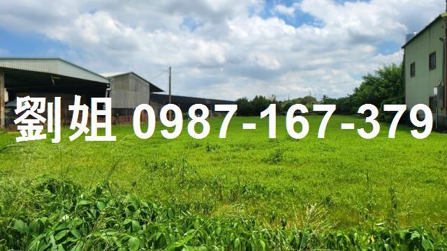 高雄路竹農地-0