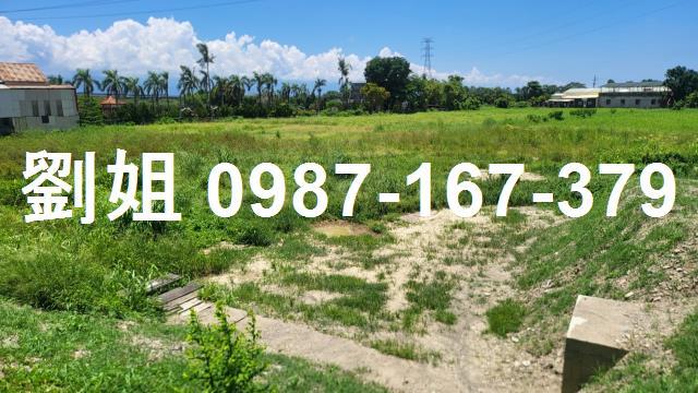 高雄大寮農地-0