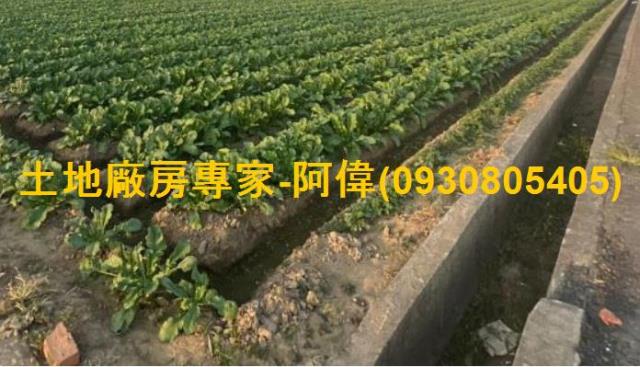 高雄大寮農地-0