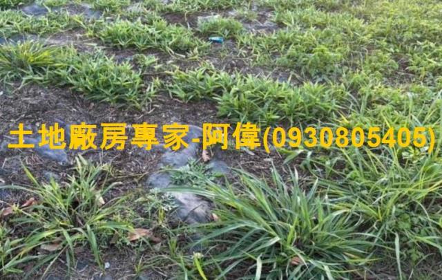 高雄岡山農地-0