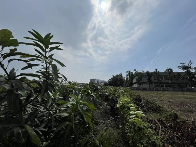 高雄農地-11