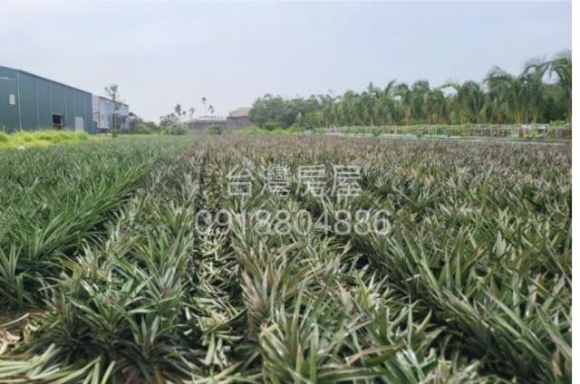 高雄仁武農地-1