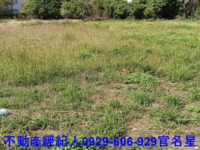 高雄梓官工業地-4