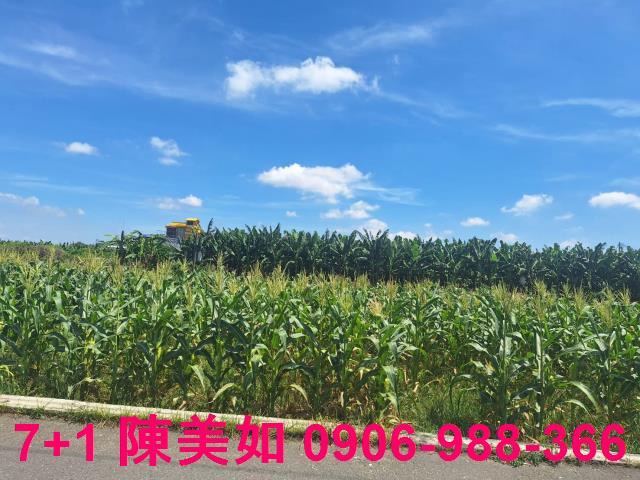 高雄大寮農地-0