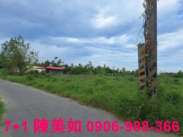 高雄大社農地-0