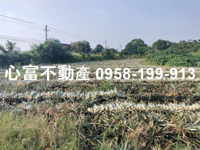 高雄農地-0
