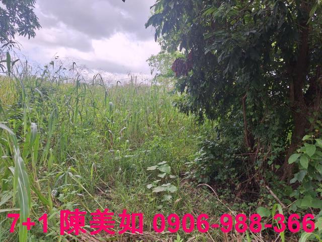 高雄燕巢農地-0