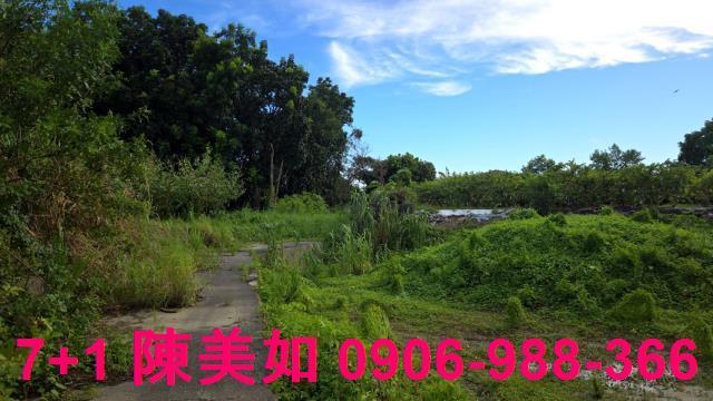 高雄燕巢農地-0