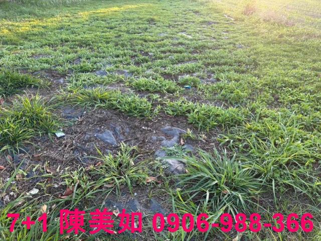 高雄岡山農地-0