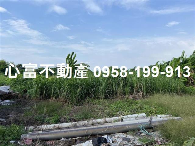 高雄彌陀農地-0