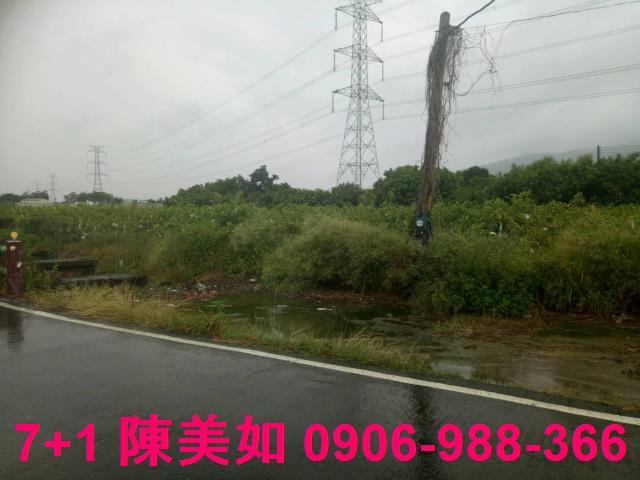 高雄阿蓮農地-0