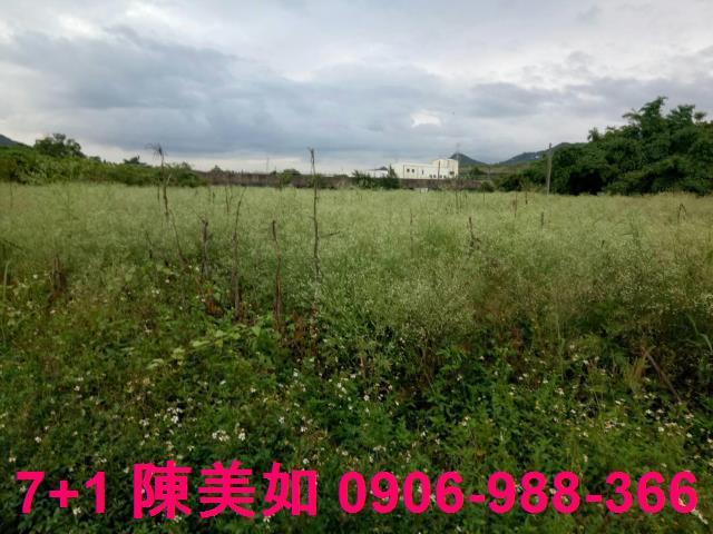 高雄阿蓮農地-0