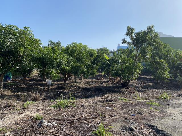 高雄阿蓮建地-1