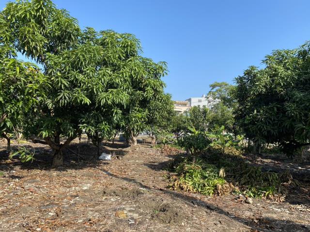 高雄阿蓮建地-6
