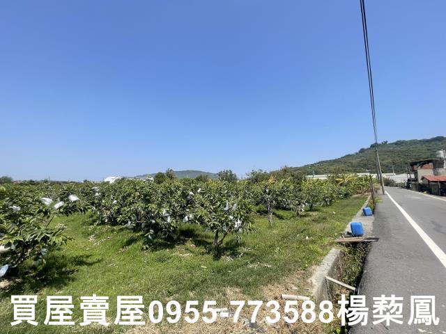 岡山農地-3