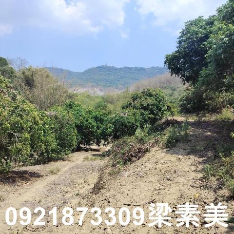 田寮農地-8