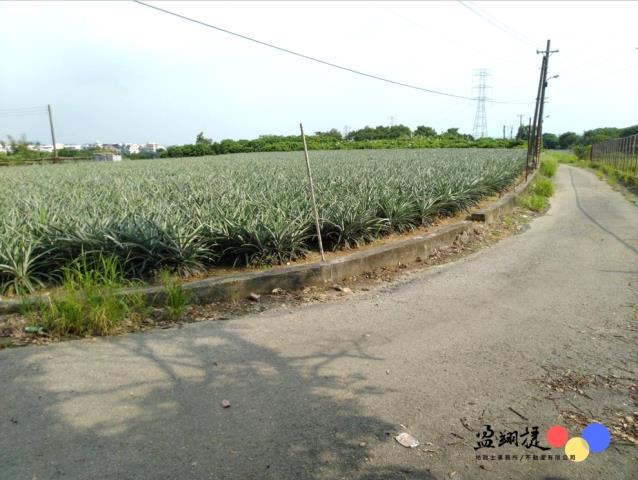 高雄大樹農地-0