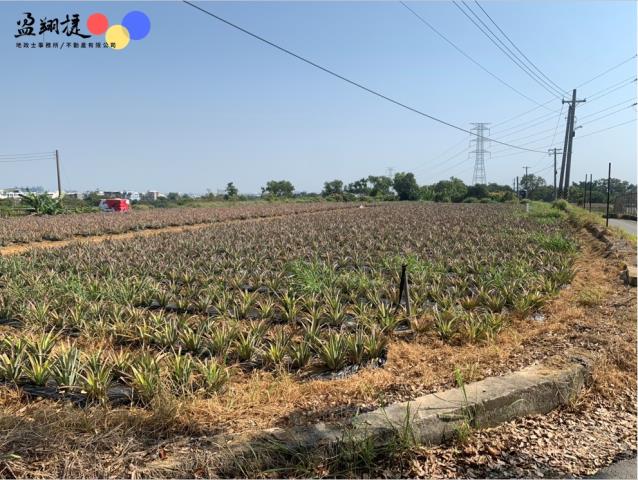 高雄大樹農地-1