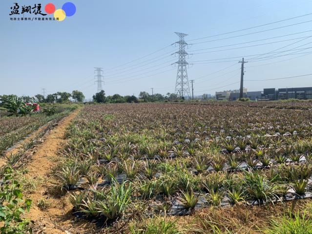 高雄大樹農地-4