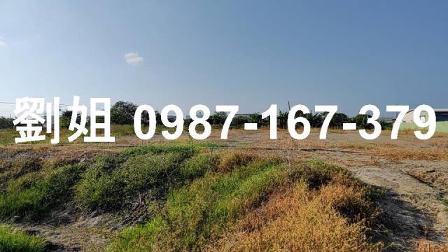 高雄路竹農地-1