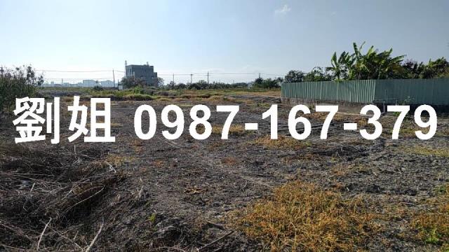 高雄路竹農地-2