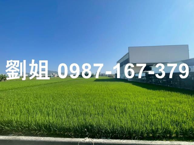 高雄阿蓮農地-1