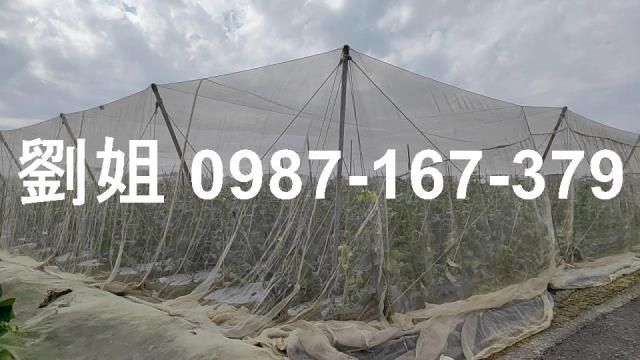 高雄路竹農地-0